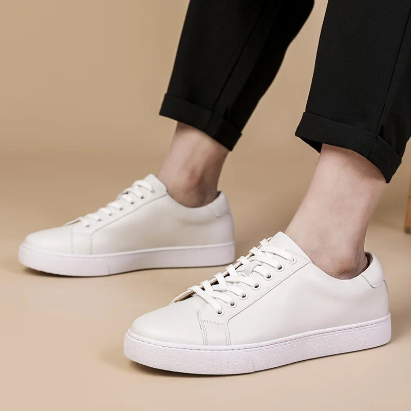 Sneaker Premium